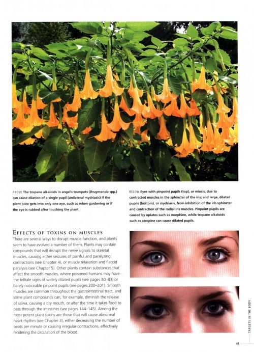Plants that Kill: A Natural History of the World's Most Poisonous Plants - Image 5