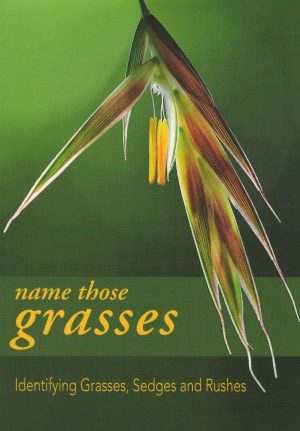 Name Those Grasses:  Identifying Grasses, Sedges and Rushes