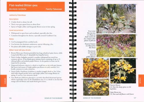 Down by the Riverside:  A Field and Management Guide to Native Plants in and about the Rivers of the Goulburn District, NSW. - Image 4