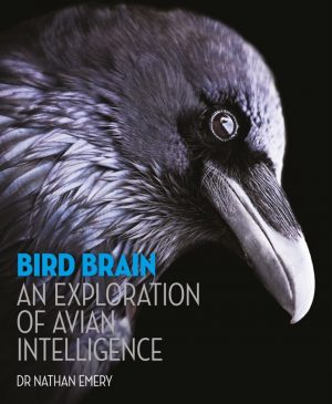 Bird Brain:  An Exploration of Avian Intelligence