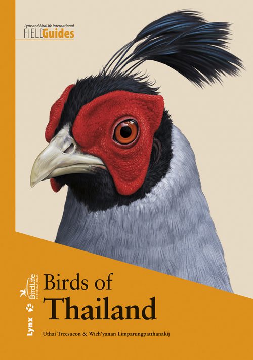 Birds of Thailand (Flexibound)