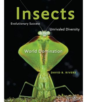 Insects: Evolutionary Success, Unrivaled Diversity, and World Domination