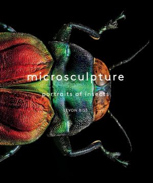 Microsculpture:  Portraits of Insects