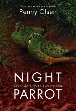 Night Parrot:  Australia's Most Elusive Bird