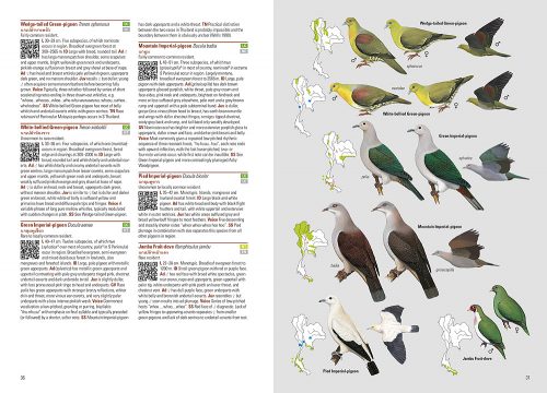 Birds of Thailand (Flexibound) - Image 2