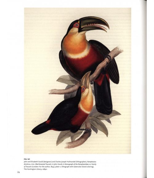 Visual Voyages: Images of Latin American Nature from Columbus to Darwin - Image 3