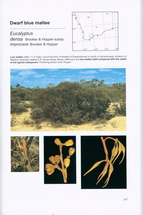 Field Guide to Eucalypts, Volume 2: South-Western and Southern Australia - Image 3
