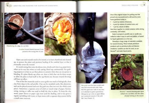 Grafting and Budding for Australian Gardeners - Image 2
