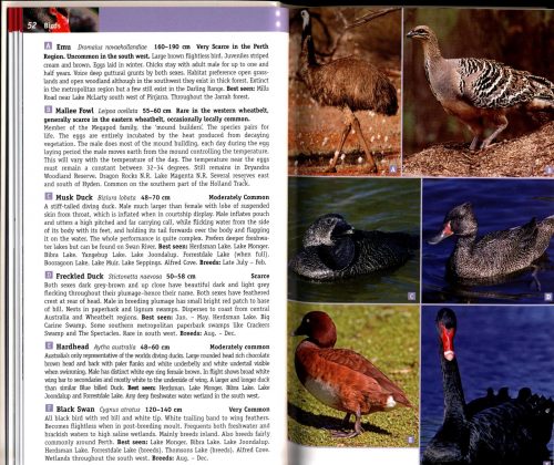 Guide to the Wildlife of Perth and the South West - Image 2