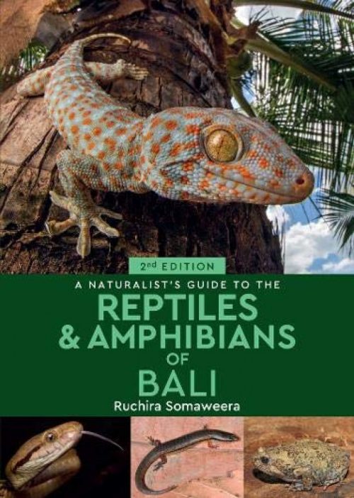 A Naturalist's Guide to the Reptiles & Amphibians of Bali (Second Edition)