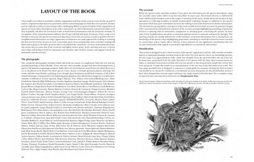Antpittas and Gnateaters (Helm Identification Guide) - Image 2
