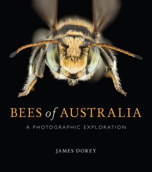 Bees of Australia:  A Photographic Exploration