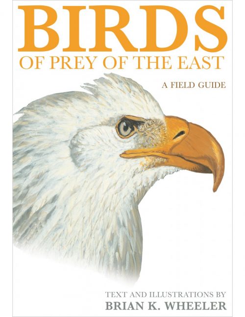 Birds of Prey of the East:  A Field Guide