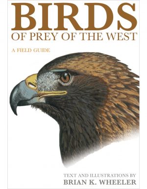 Birds of Prey of the West:  A Field Guide