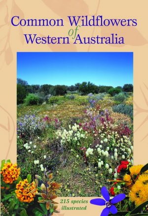 Common Wildflowers of Western Australia