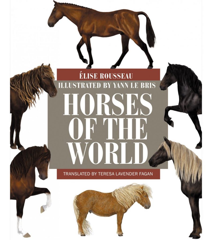 Horses of the World - Nokomis