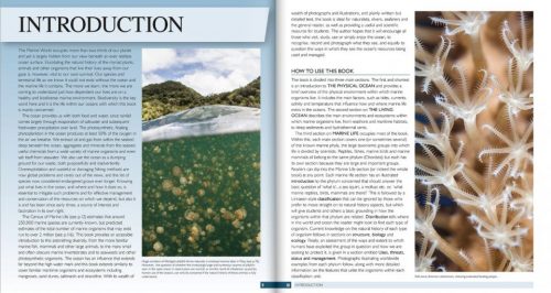 The Marine World:   A Natural History of Ocean Life - Image 2