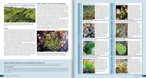 The Marine World:   A Natural History of Ocean Life - Image 3