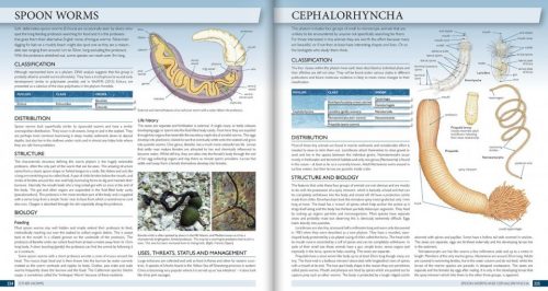 The Marine World:   A Natural History of Ocean Life - Image 4