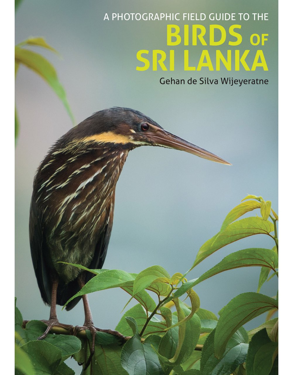 A Photographic Field Guide to the Birds of Sri Lanka Nokomis