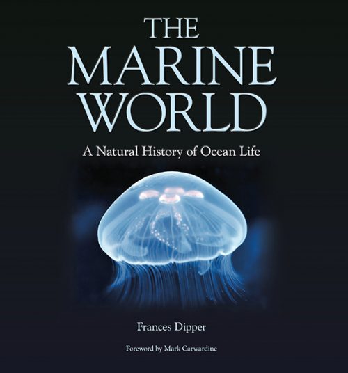 The Marine World:   A Natural History of Ocean Life
