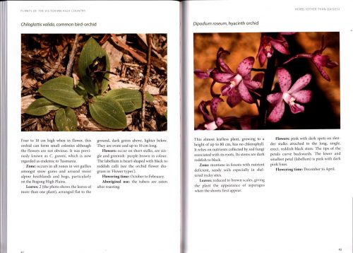 Plants of the Victorian High Country:  A Field Guide for Walkers  (Second Edition) - Image 3