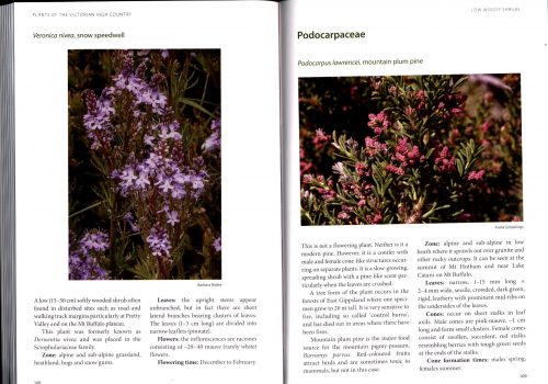 Plants of the Victorian High Country:  A Field Guide for Walkers  (Second Edition) - Image 2