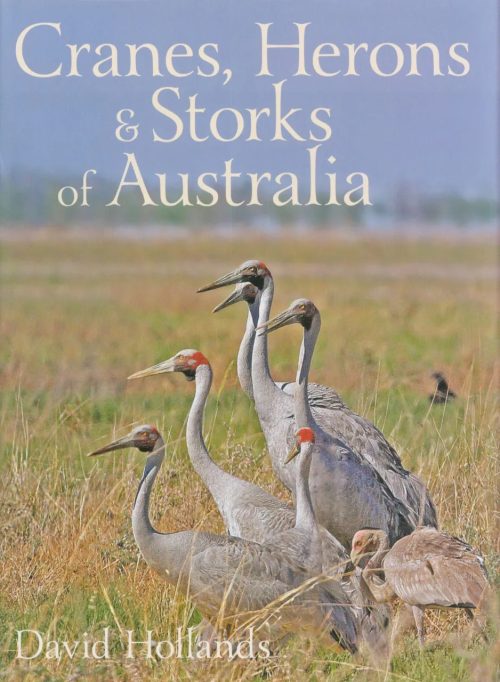 Cranes, Herons & Storks of Australia