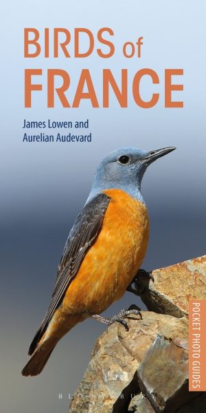 Birds of France (Pocket Photo Guide)