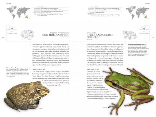 The Book of Frogs: A Life-Size Guide to Six Hundred Species from Around the World - Image 4