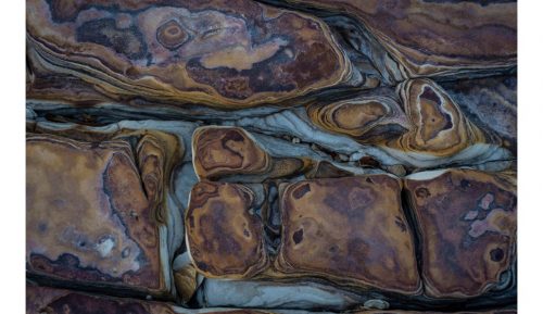 Wild Land: A Journey into the Earth's Last Wilds - Image 2