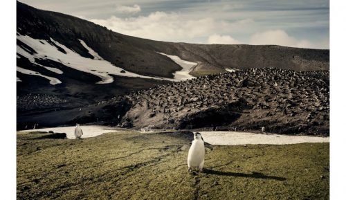 Wild Land: A Journey into the Earth's Last Wilds - Image 4