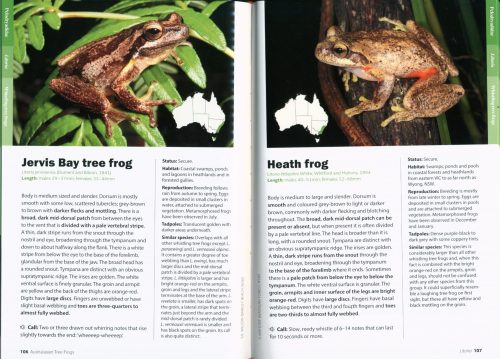 A Complete Guide to Frogs of Australia - Image 3