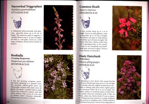 Tasmanian Flowering Plants:  A Field Guide - Image 4