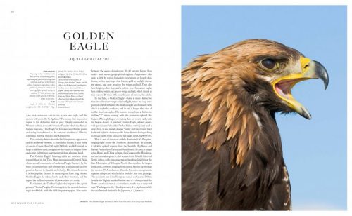 The Empire of the Eagle: An Illustrated Natural History - Image 2