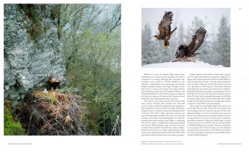 The Empire of the Eagle: An Illustrated Natural History - Image 3