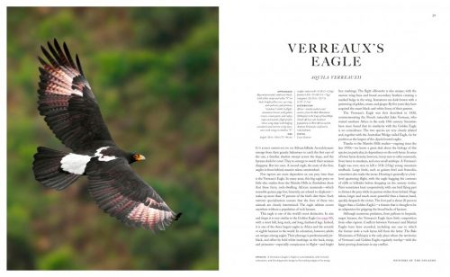 The Empire of the Eagle: An Illustrated Natural History - Image 4