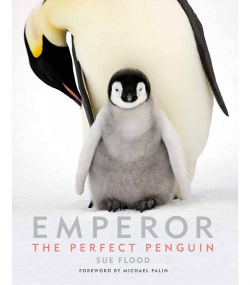 Emperor: The Perfect Penguin