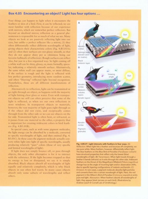 Handbook of Bird Biology (Third Edition) - Image 2