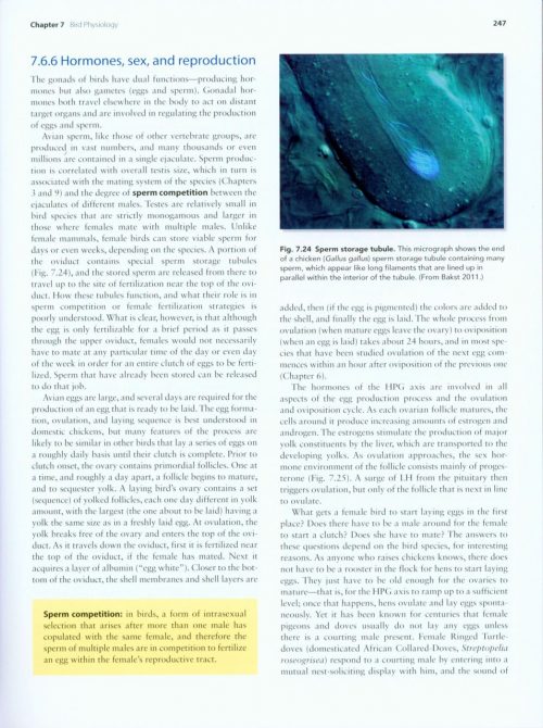 Handbook of Bird Biology (Third Edition) - Image 3