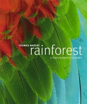 Rainforest:  A Photographic Journey