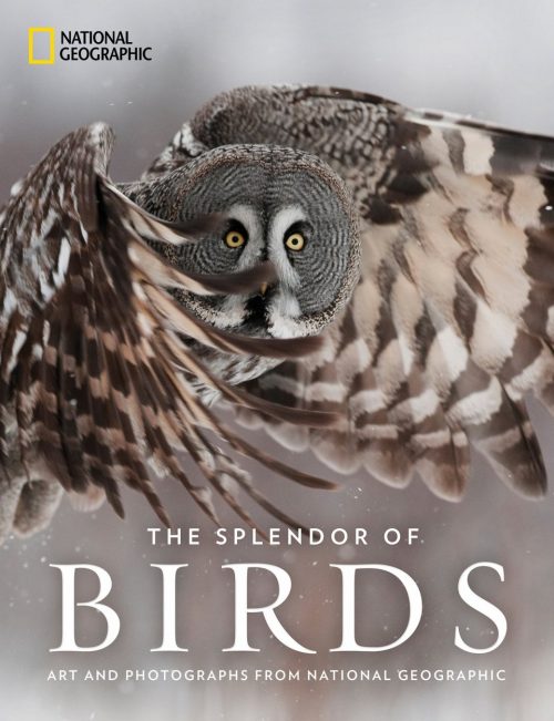 The Splendor of Birds:   Art and Photographs from National Geographic