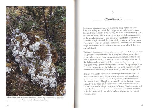 Lichens of Rainforest in Tasmania and South-Eastern Australia - Image 4
