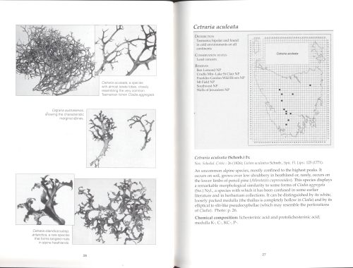 Tasmanian Lichens: Identification, Distribution and Conservation Status:   I. Parmeliaceae - Image 3