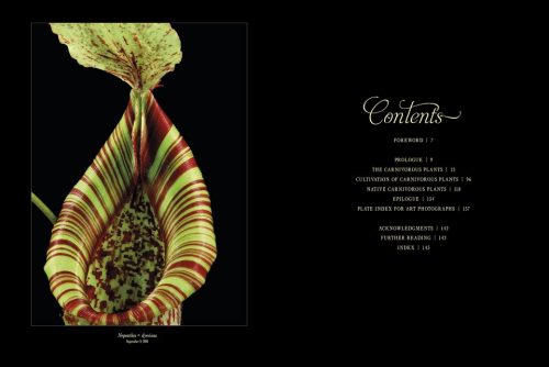 The Sinister Beauty of Carnivorous Plants - Image 2