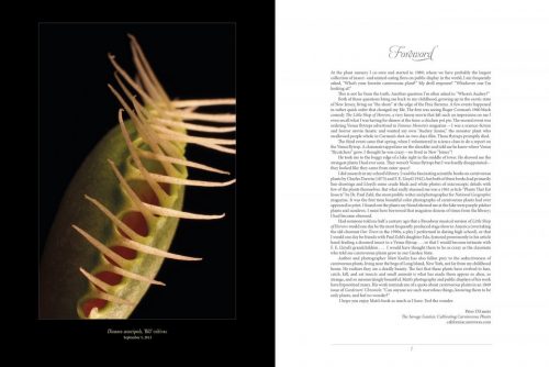The Sinister Beauty of Carnivorous Plants - Image 3