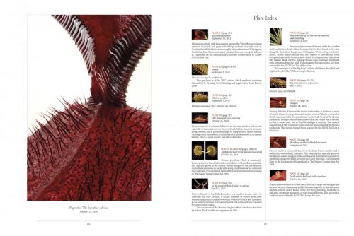 The Sinister Beauty of Carnivorous Plants - Image 7
