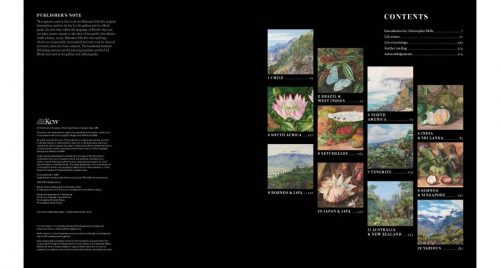 Marianne North: The Kew Collection - Image 2