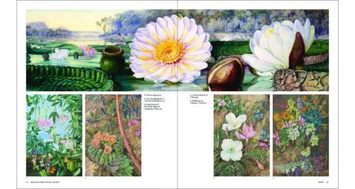 Marianne North: The Kew Collection - Image 3