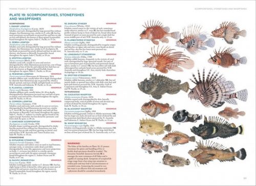 Field Guide to Marine Fishes of Tropical Australia and South-East Asia - Image 5